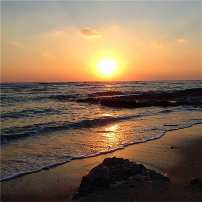 电玩舞会森林手机app下载