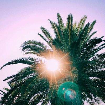 乐发彩票APP下载