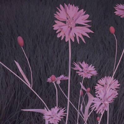 英雄联盟外围平台网址下载手机版