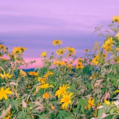 BOB·体育综合APP下载