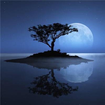 南宫体育app下载截图