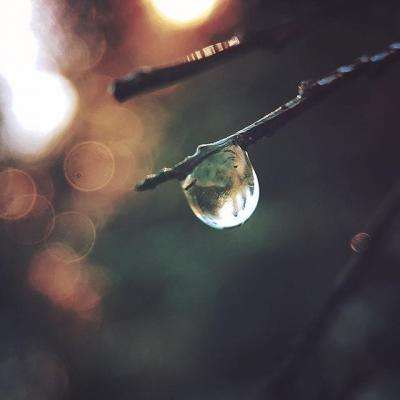 澳博在线官网娱乐游戏