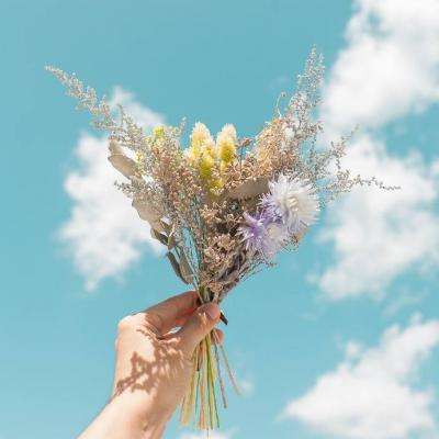 博鱼·综合体育APP