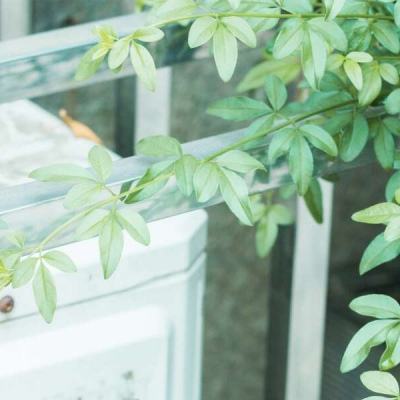 购彩中心welcome官网手机app下载