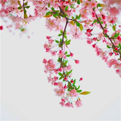 ag娱乐平台游戏中心