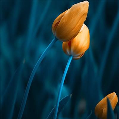 米乐m6登录米乐平台截图