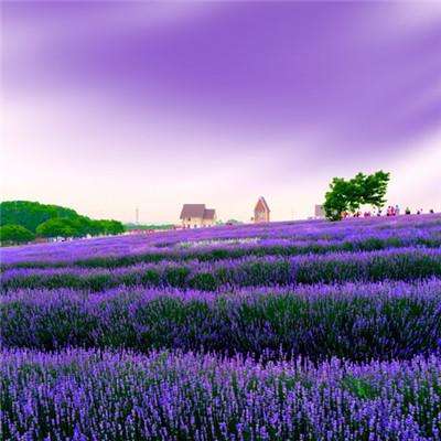 开云电竞下载手机版